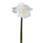 Ptmd fleur artificielle amaryllis - 17x38x75 cm - plastique - rouge