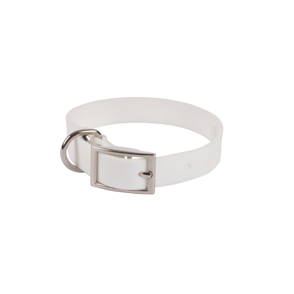 Collier en silicone pour chien silicoole