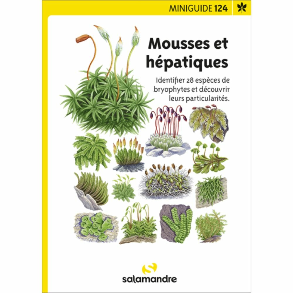 Miniguide 124 - mousses et hépatiques