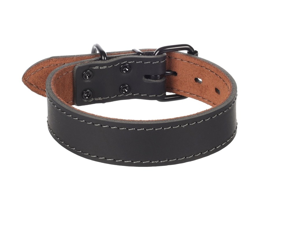 Collier chien montana en cuir
