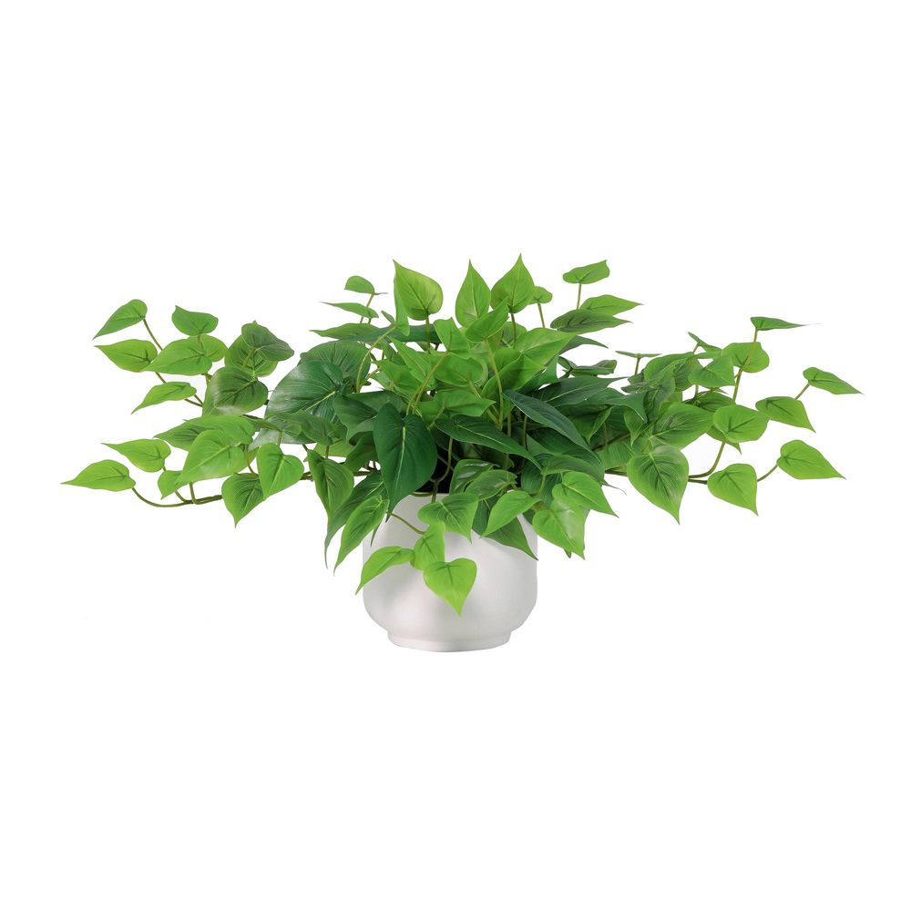 Epipremnum avec pot blanc - 30cm - ø15cm - plante artificielle
