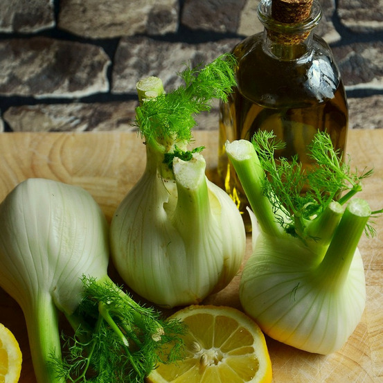 Graines de fenouil tauro - vilmorin sachet