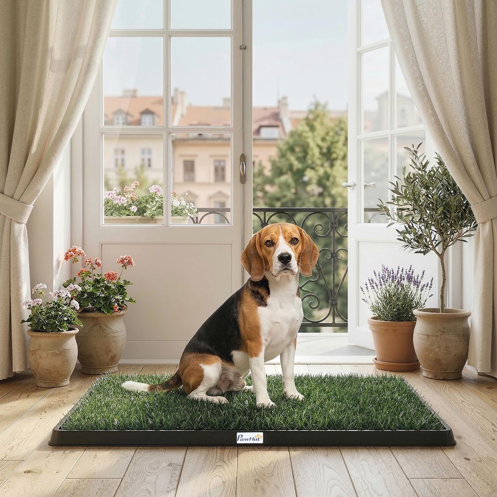 Toilette pour chien plastique 76 x 50,5 cm noir vert balcon intérieur apprentissage propreté avec gazon