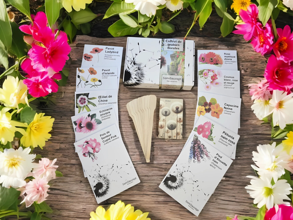 Coffret de graines - spécial terrasse & balcon fleuris - semisauvage permaculture