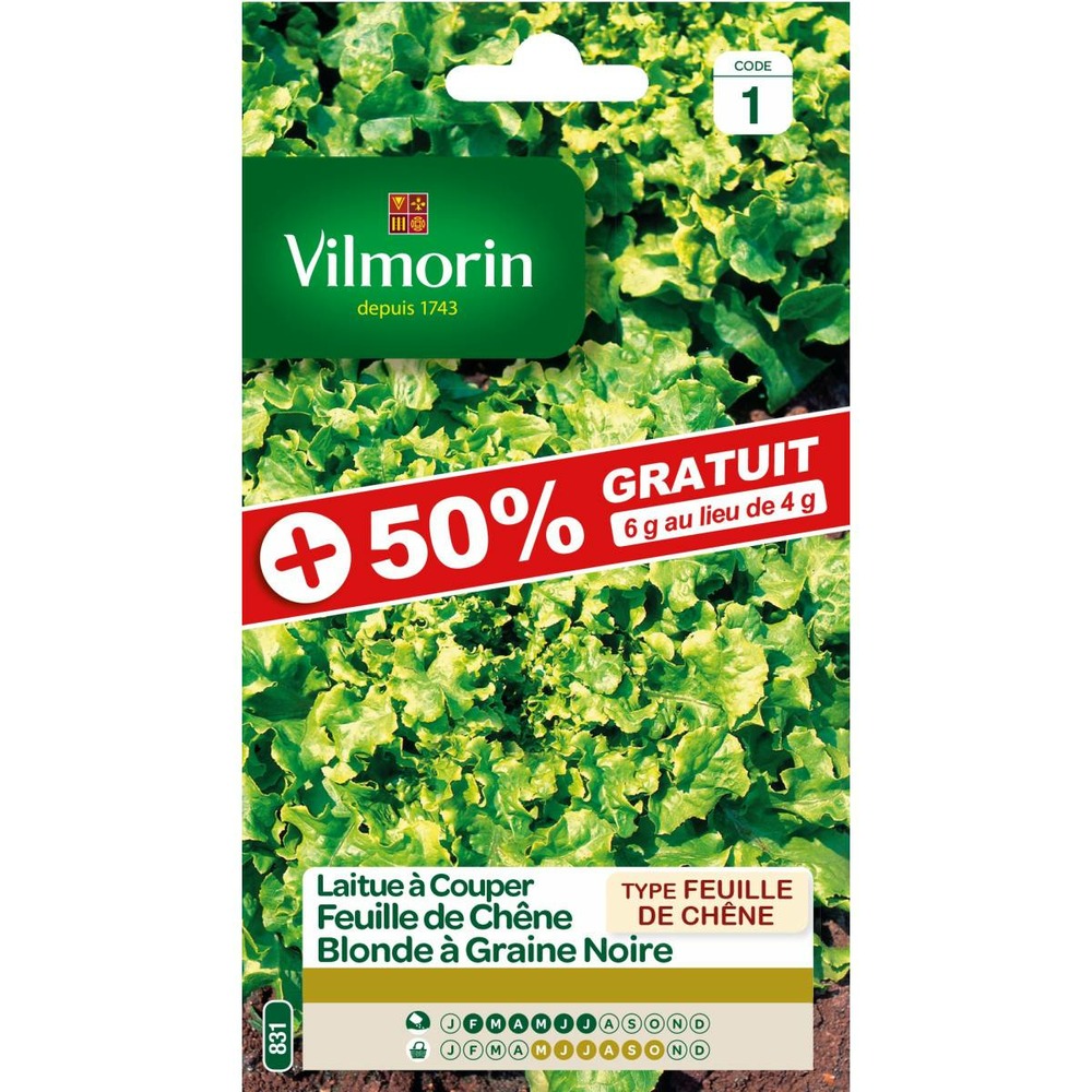 Sachet graines laitue à couper feuille de chêne blonde graines noires 50% gratui