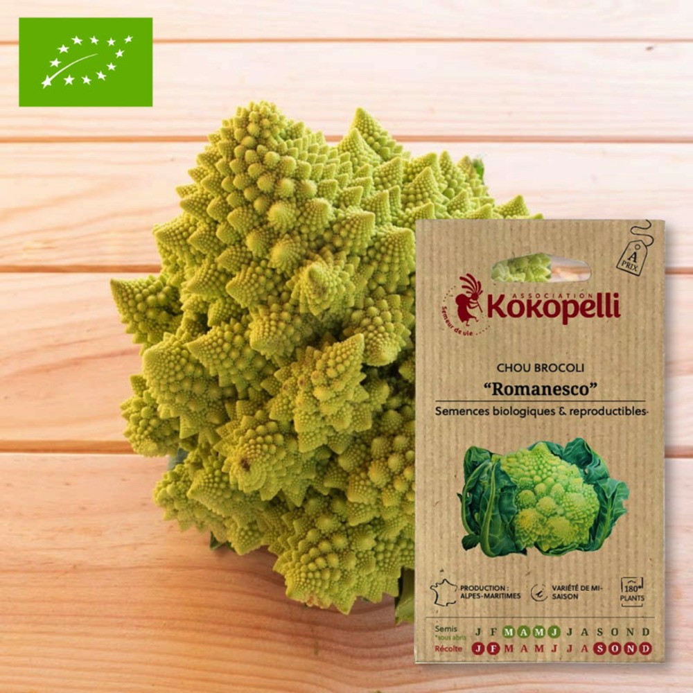 Graines bio à semer - chou brocoli romanesco