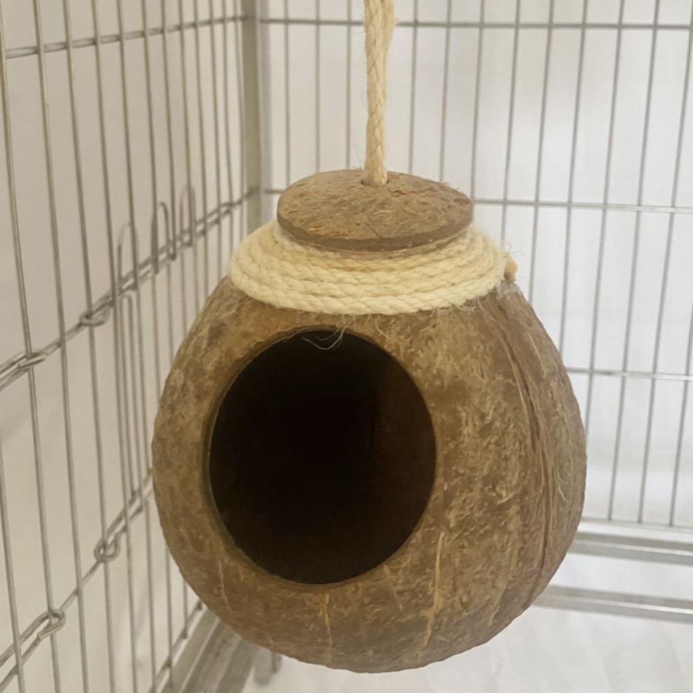 Boîte d'oiseau en coque de noix de coco pour la reproduction et la décoration chaîne de chapeau de paille