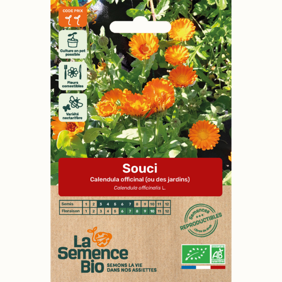 Souci calendula officinal - graines bio