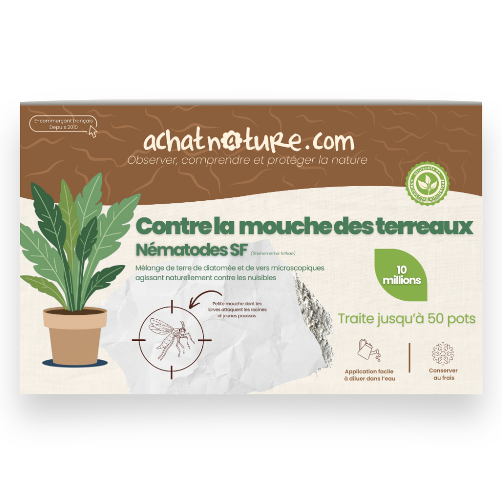 Nématodes sf contre mouches des terreaux - 10 millions - 50 pots