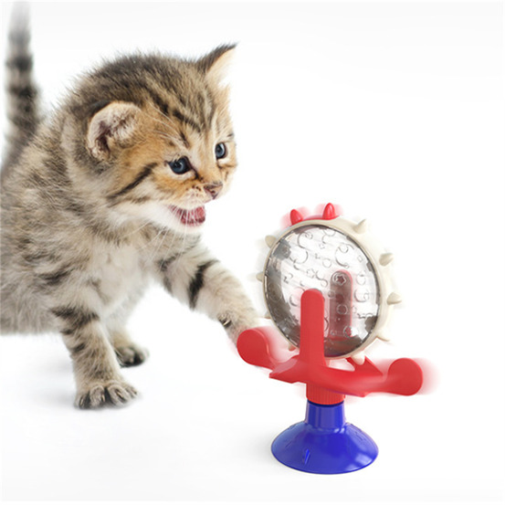 Dtopbuyage jouet en peluche pour chat caterpillar