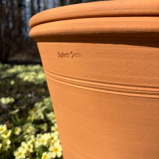 Pot d'ornementation agrume