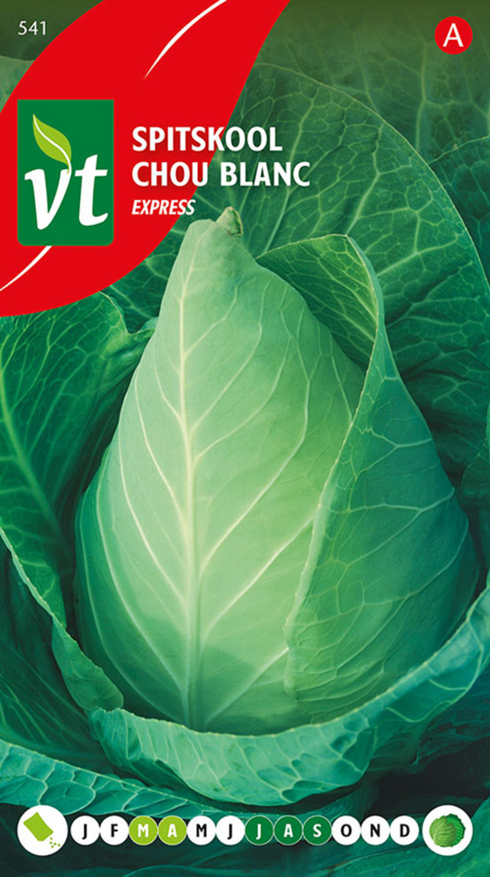 Chou blanc express - ca. 2 gr (livraison gratuite)