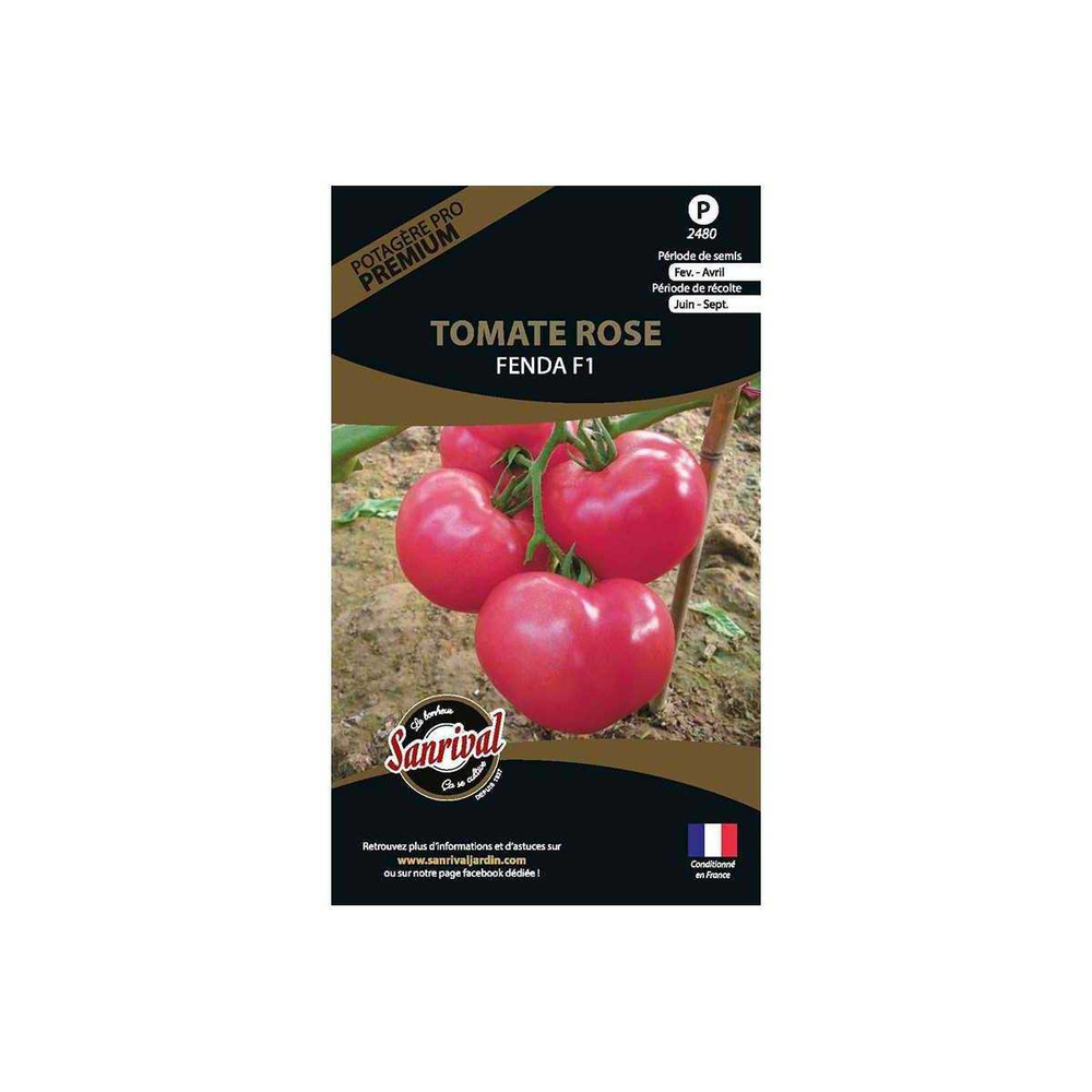 Graines potagères premium tomate fenda