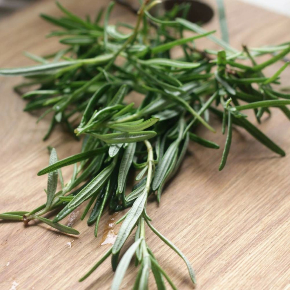 Graines de romarin officinal - vilmorin sachet