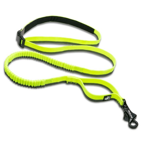 Longe élastique chien Capture - Taille L élastique entre 200 et 340 cm- Jaune