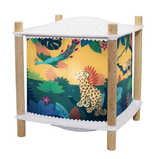 Lanterne Magique 2.0 Bluetooth â Savane