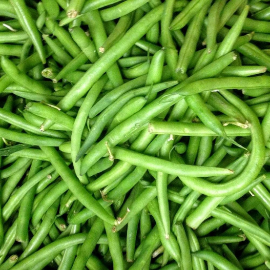 Graines de haricot nain mangetout contender - vilmorin sachet