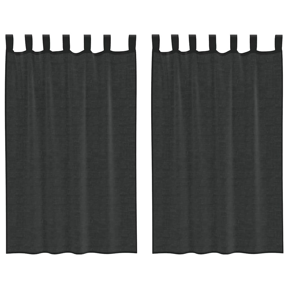 Rideaux en voile avec passants 2 pcs noir