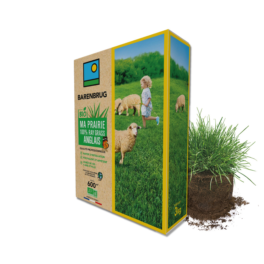 Barenbrug - prairie 100% ray-grass anglais - rapide d'installation - polyvalente et appétente - très bonne pérennité 4 ans et +
