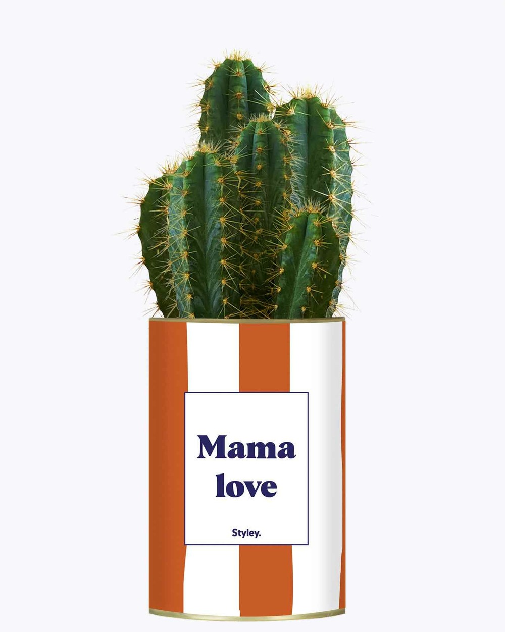 Idée cadeau - mama love - cactus