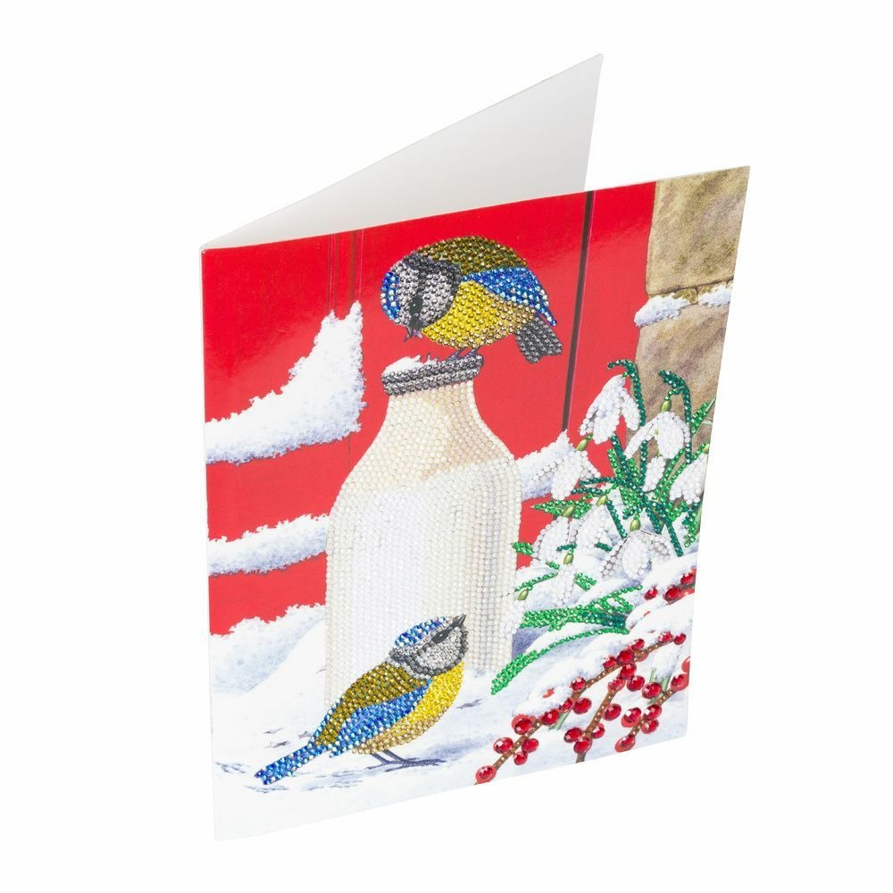 Carte crystal art à diamanter - oiseaux sur la neige - 29 x 21 cm