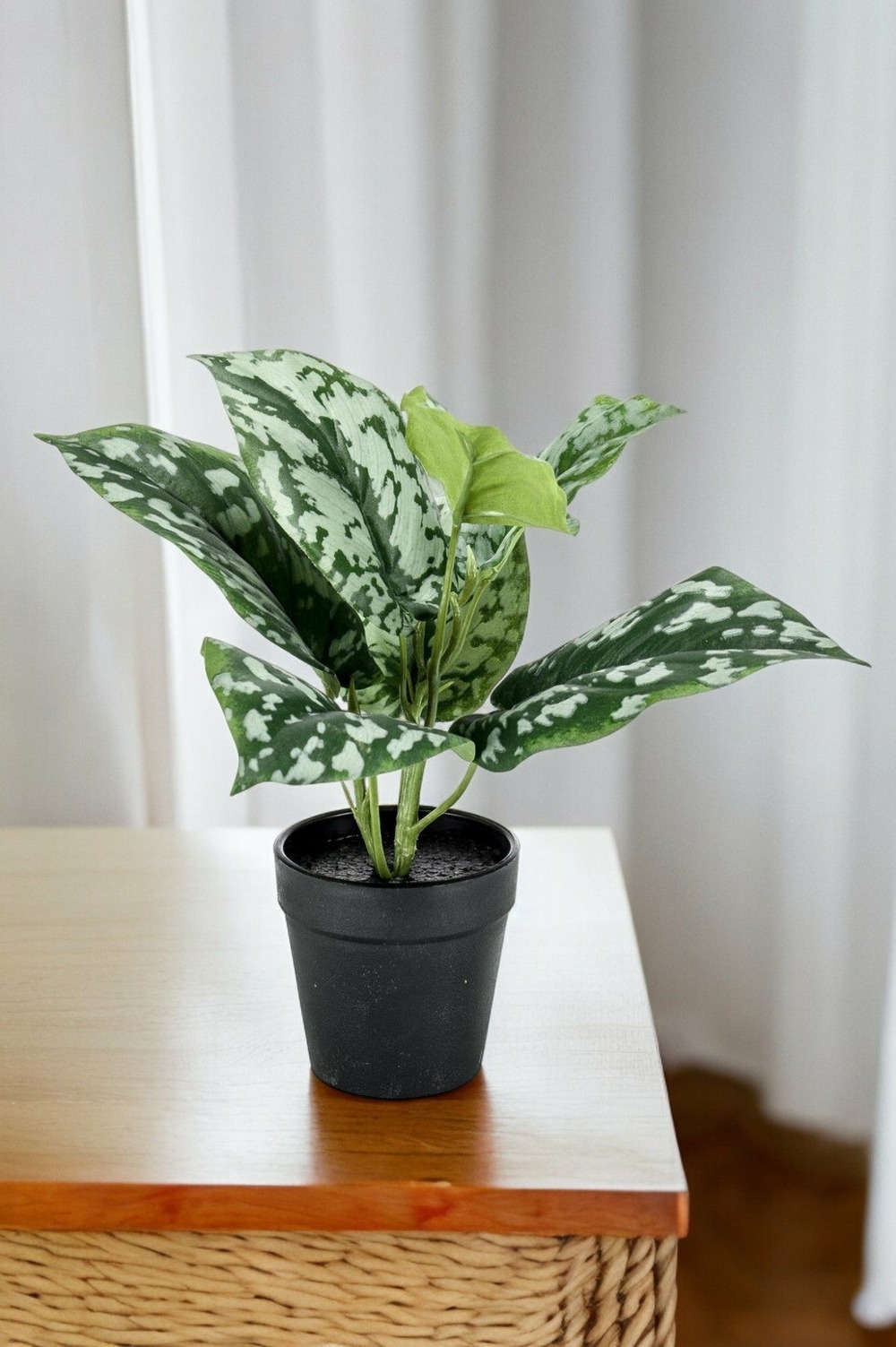 Scindapsus plante artificielle- h30cm, ø15cm