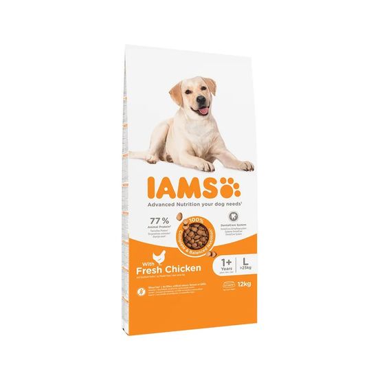 Iams chien adulte large poulet 12 kg