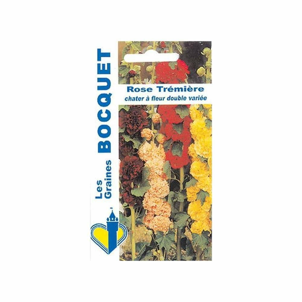 Rose TrÃ©miÃšre Chater double variÃ©e
