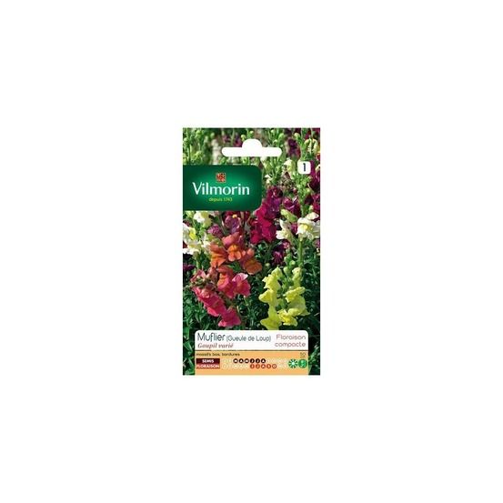 Sachet graines muflier gueule de loup goupil varié