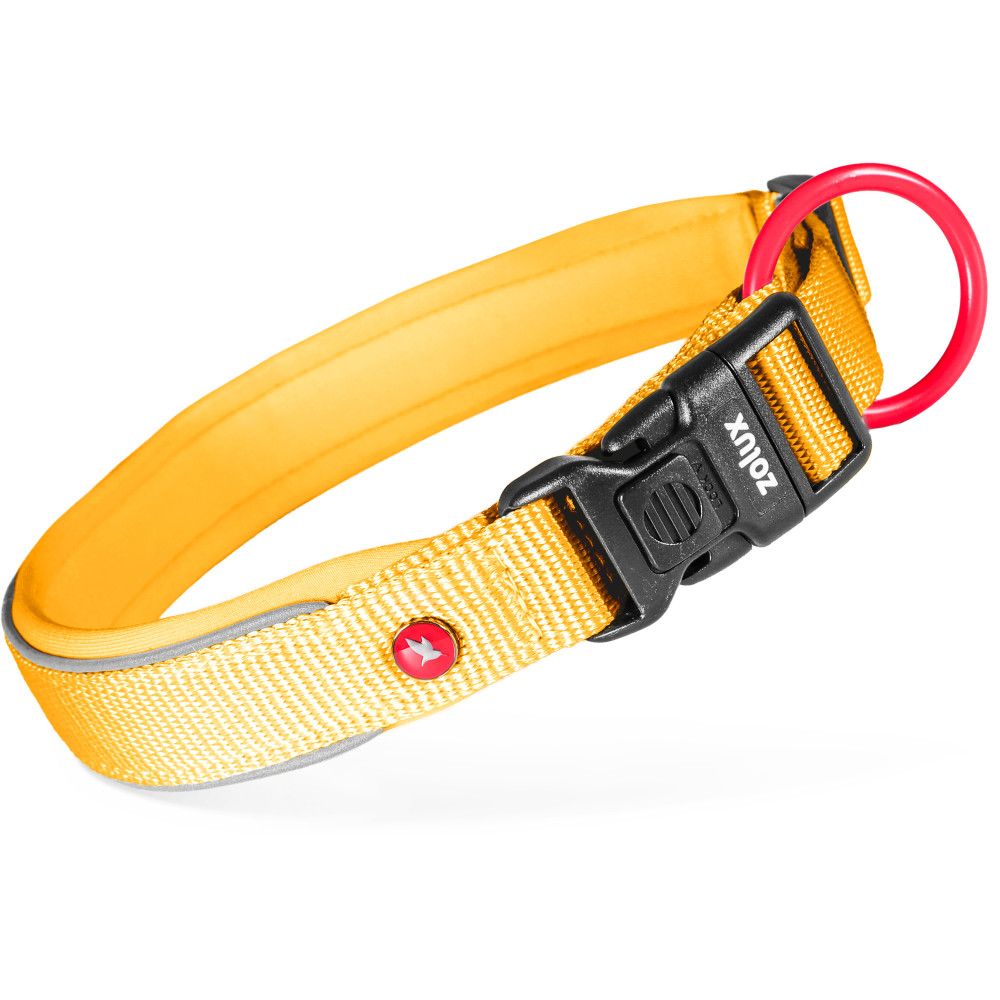 Collier premium pour chien en nylon recyclé, doublure néoprène, réglable 25