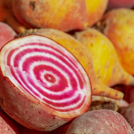 Graines de betterave chioggia sachet