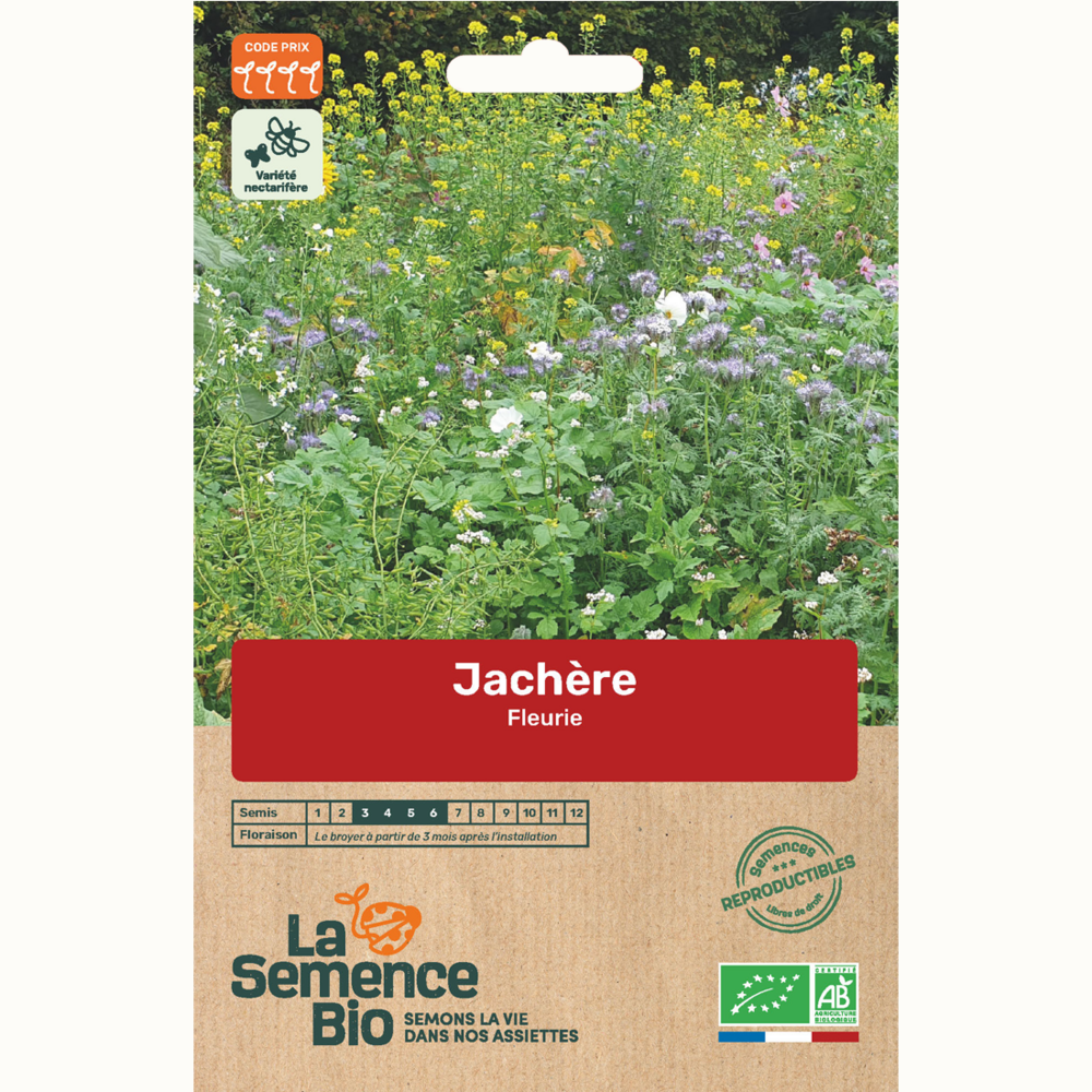 Jachère fleurie - graines bio