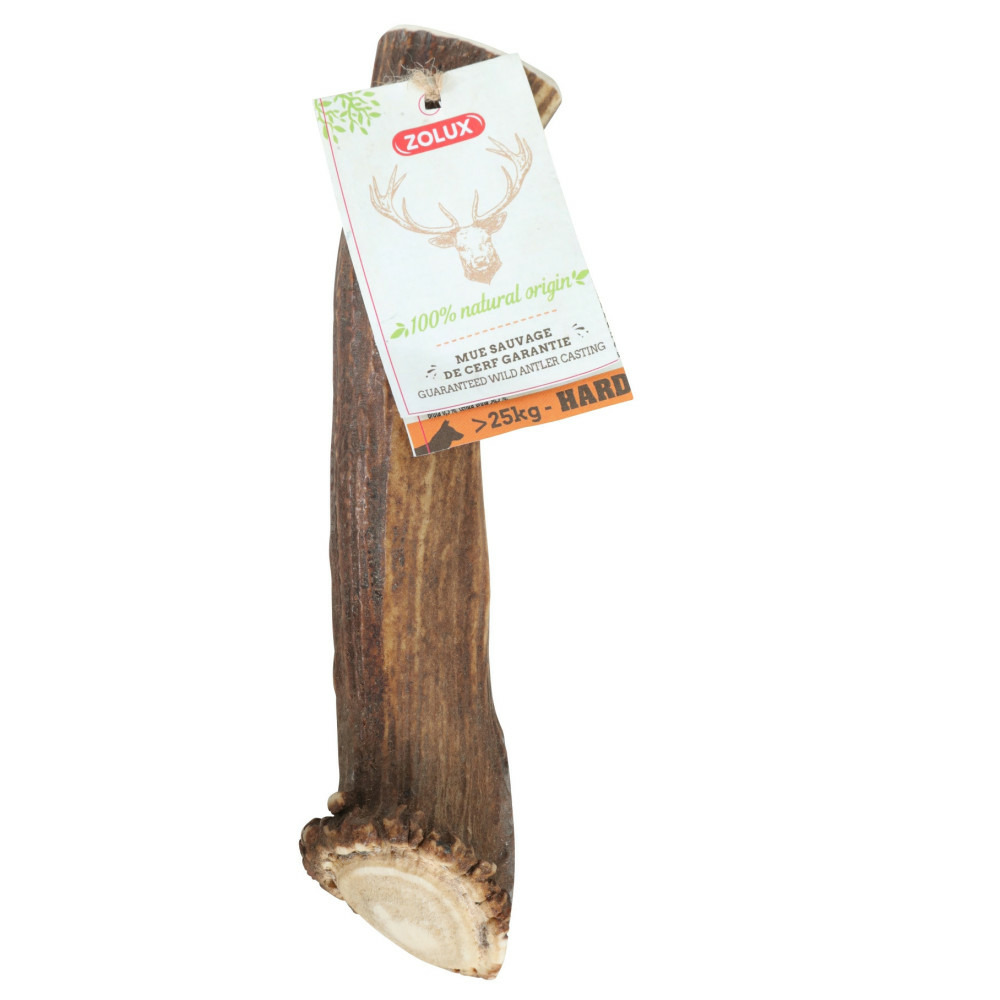 Bois de cerf entier xxl friandise à mâcher pour chien de plus de 25 kg