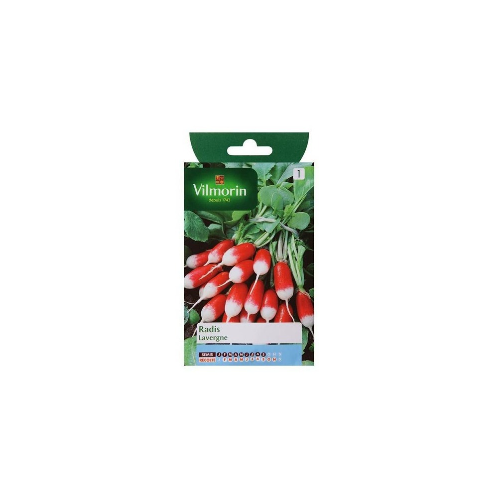 Sachet graines radis lavergne