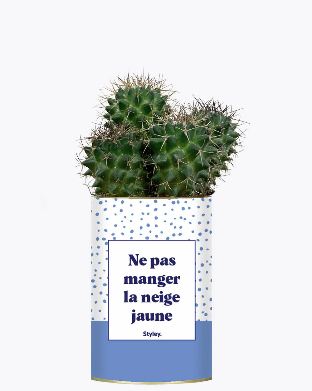 Idée cadeau - ne pas manger la neige jaune - cactus