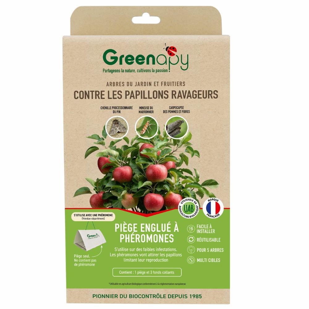 Recharge fonds collants pour piège delta