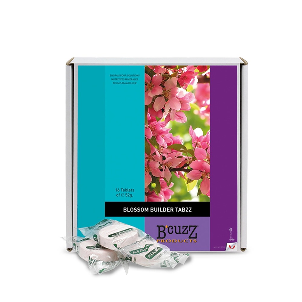 B'cuzz blossom builder tabzz x 16 | Truffaut