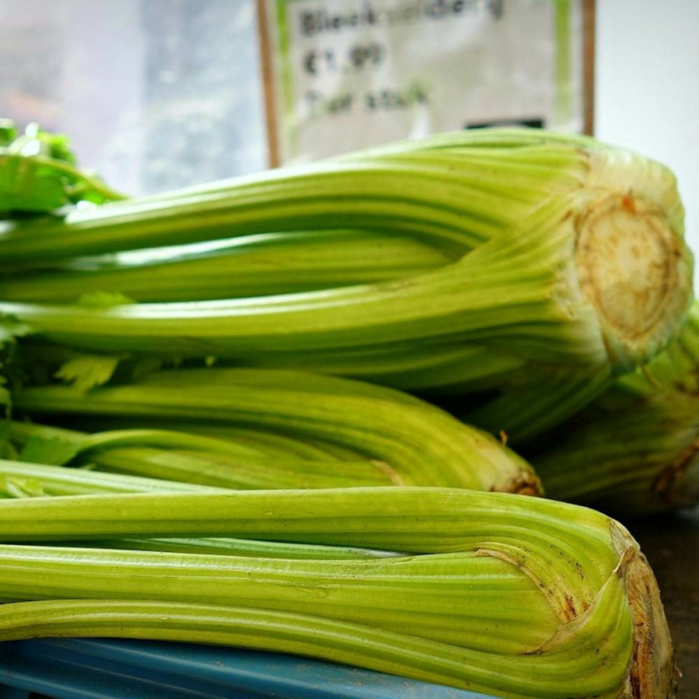 Graines de céleri branche d'elne - vilmorin sachet