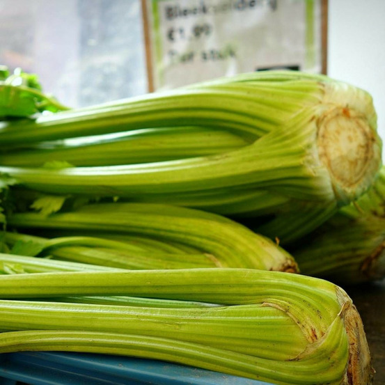 Graines de céleri branche d'elne - vilmorin sachet