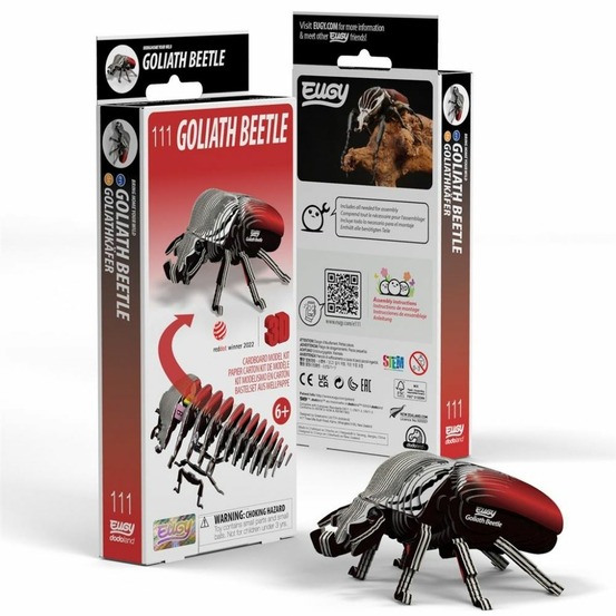 Coléoptère goliath – eugy 3d