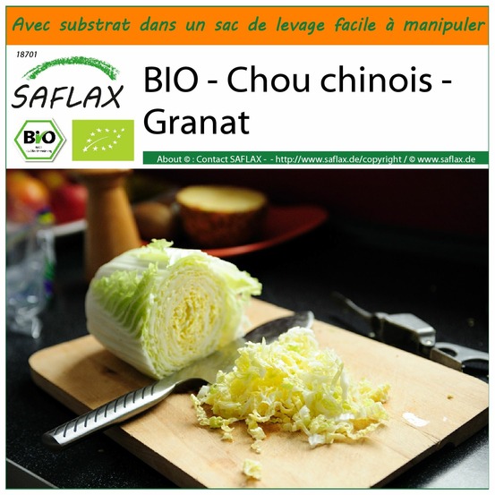 Garden in the bag - bio - chou chinois - granat - 40 graines - brassica rapa ssp. Pekinensis