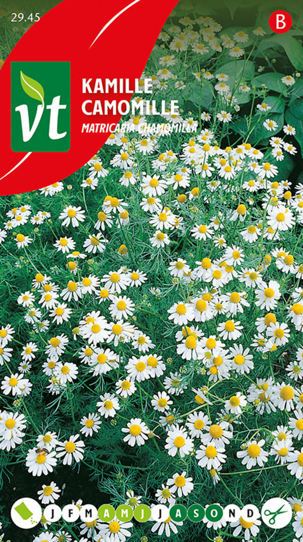 Camomille - ca. 0,5 gr (livraison gratuite)