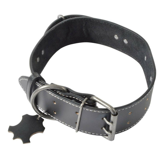 Collier pour chien 3xl