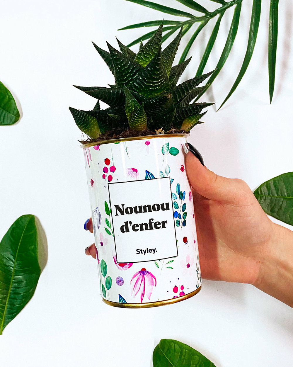 Plante facile à entretenir - nounou d'enfer - cactus