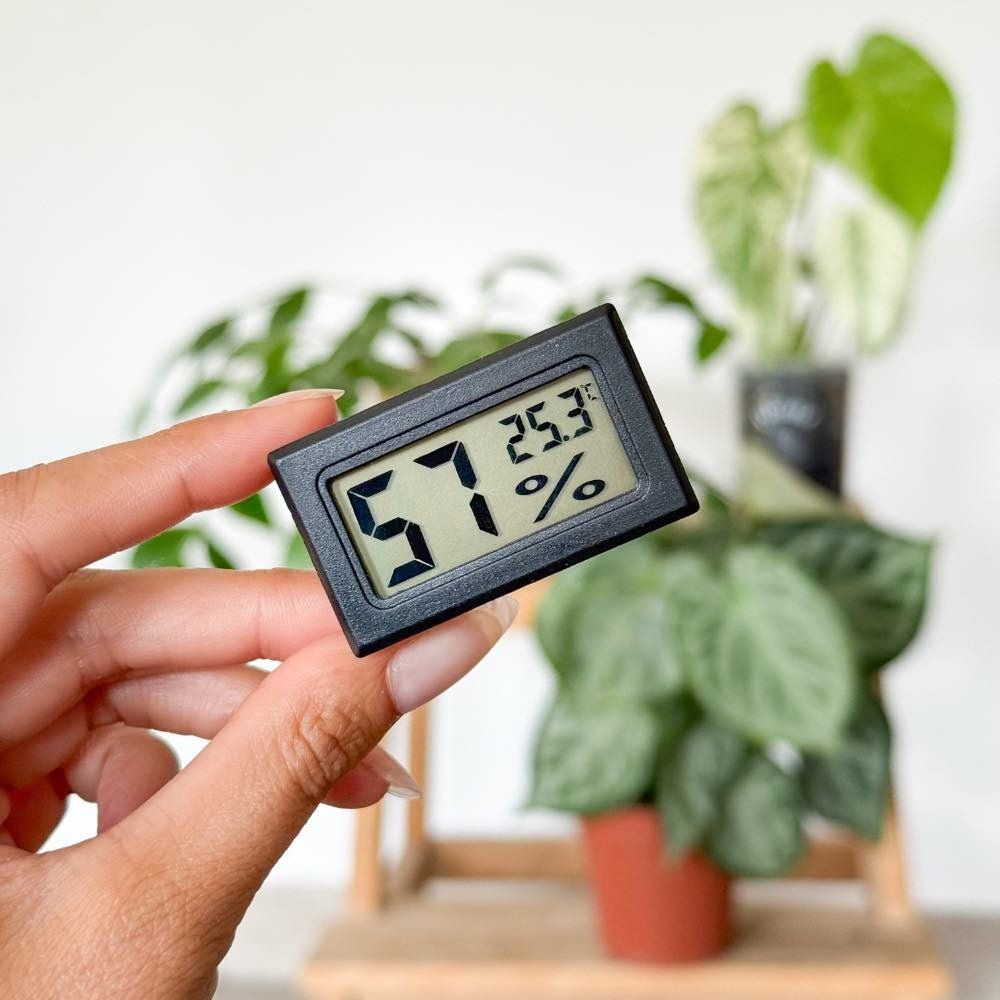 Thermomètre hygromètre numérique - x10 unités