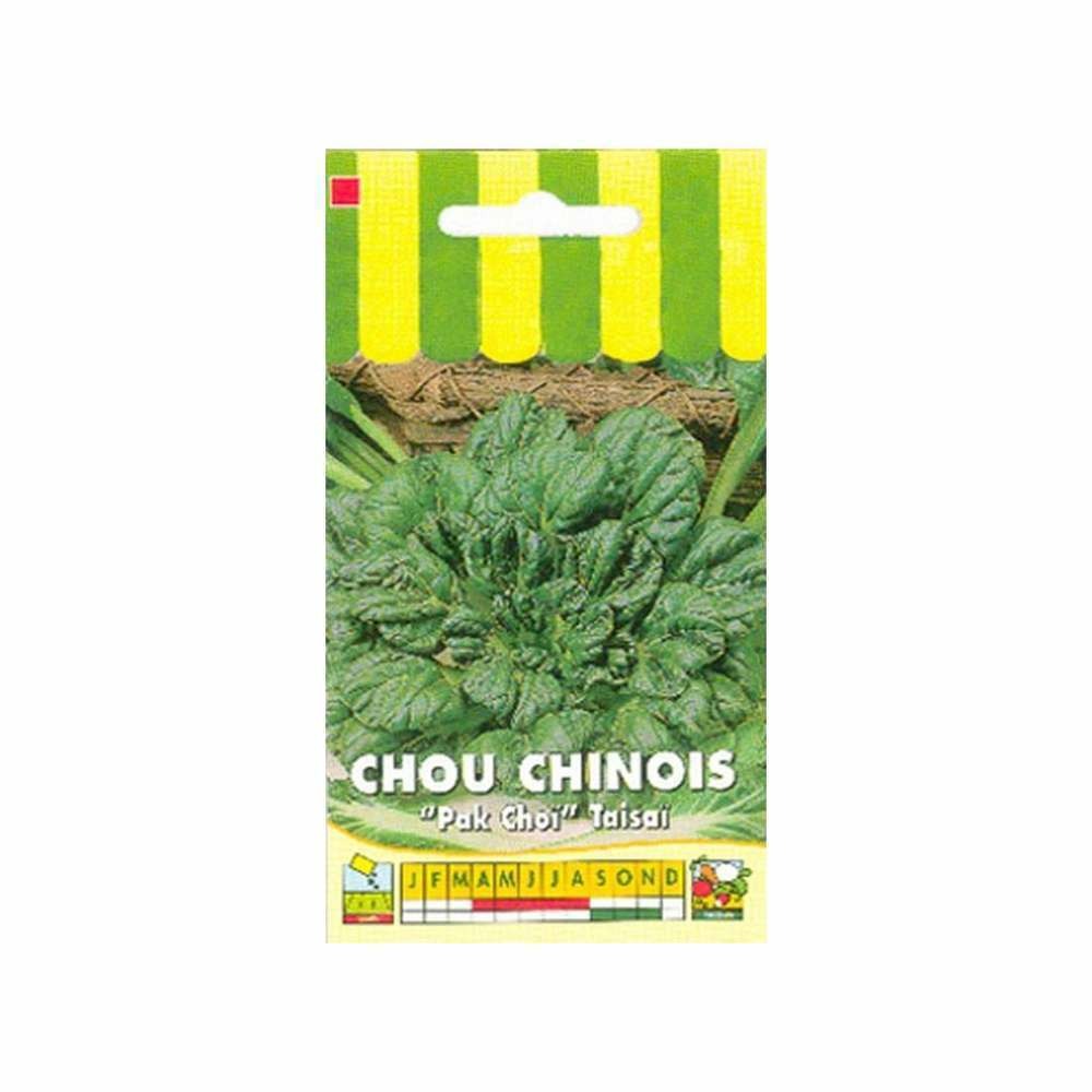 Graines de chou de chine pak choi taisai
