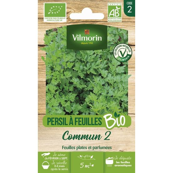 Persil commun 2 - bio