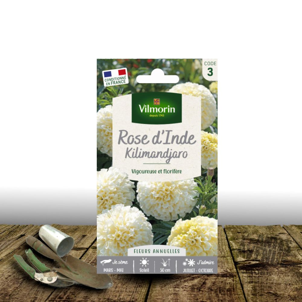 Graines de rose d'inde kilimandjaro - vilmorin sachet
