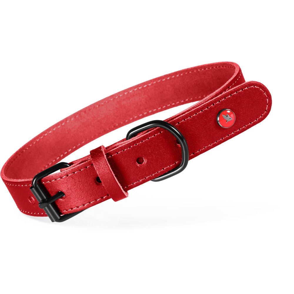 Collier pour chien en cuir véritable réglable 42-54 cm, sangle 25 mm - zolu