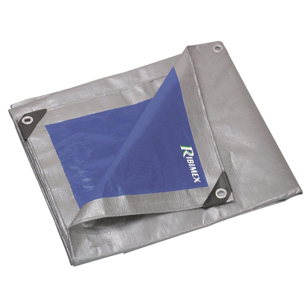BÃ¢che de protection Pro 2x3 250 g/m2